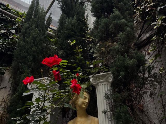 SherylHill's golden head statue with red roses in front of a white column, surrounded by dark green trees and vines, looking serene.