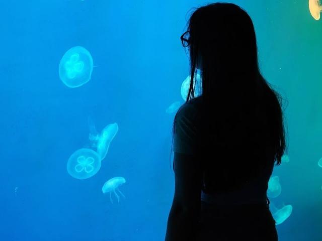 Silhouette of CathrynJacquet with long hair, facing blue aquarium, watching glowing jellyfish. Her back is to the camera, her ass slightly visible. Soft, ethereal, underwater vibe.