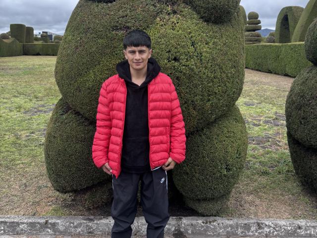 KaelNova with short black hair, wearing a red puffy jacket, black hoodie, and black tracksuit, standing in front of large, green, bushy butt-shaped hedges. Overcast sky.