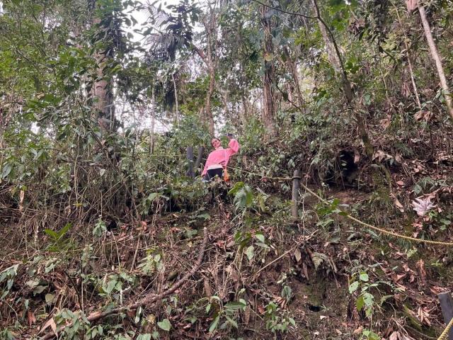 MajoJones, avec de petites seins, portant une chemise rose, debout dans une forêt dense et verte, avec des lianes et des branches entrelacées, levant un bras..