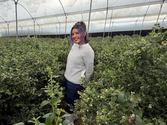 DarckVelvet stands in a greenhouse, wearing a white patterned sweater, dark pants, and purple hair, smiling with green plant rows in front of her. She's got a cute ass.