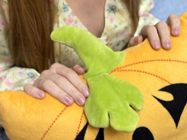 Viloriia's hands holding a green plush leaf on an orange stuffed animal with black eyes. She's wearing a floral shirt, showing her pink-nailed fingers.