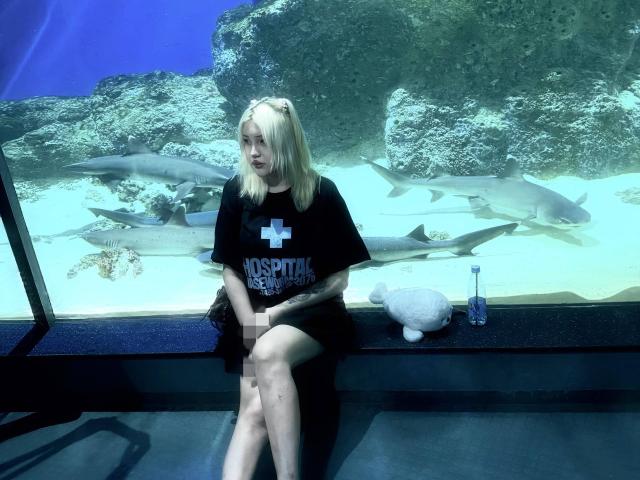 AlmaStampka, avec ses cheveux blonds, son t-shirt noir et son short, assise devant un aquarium en verre rempli de requins, avec un tatouage sur le bras gauche, une bouteille d'eau à droite, regardant sur le côté..