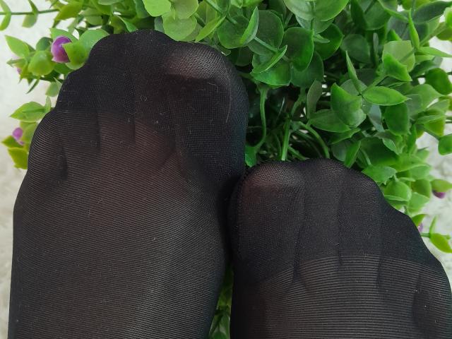 AmeliaMaiv's feet in black, sheer, nylon socks with visible toes, slightly wrinkled, resting on green, leafy plants. Socks cover toes and the balls of her feet.