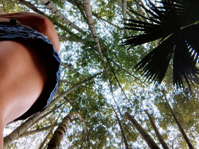 EmiliaMilf's bare, tan, toned ass, slightly visible black lace panties, and a part of her back, looking up at tall, green-leaved trees with sunlight filtering through.