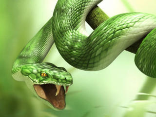 Eutpnicko - Sexe cam en vivo - 6153726