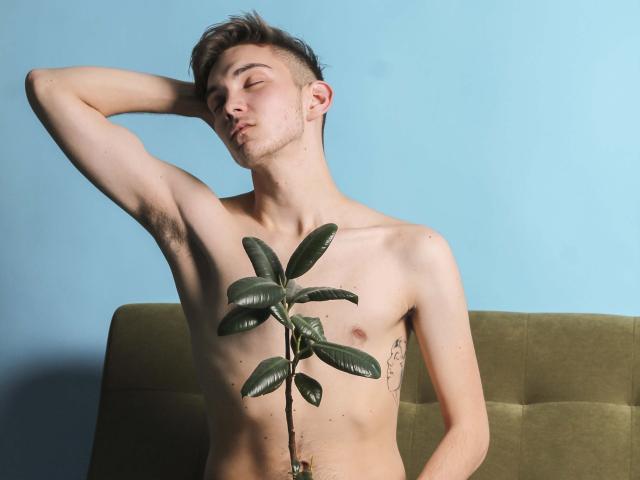 JamesJordan - Chat live sex avec un Gay avec le sexe complètement taillé  