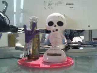 Eutpnicko - Sexe cam en vivo - 6217271