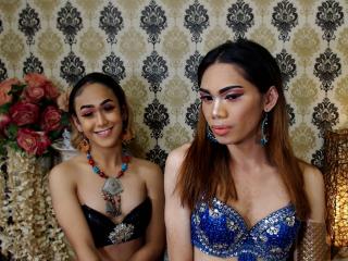 TwoLovelyShemales - Live porn &amp; sex cam - 6367310