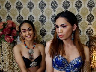TwoLovelyShemales - Show hard with this Cross-sexual couple 