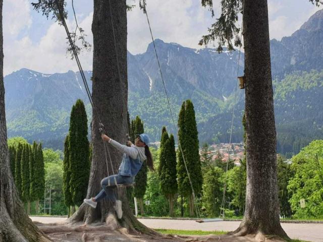 DashingFoxyX is swinging from a tree with thick ropes, wearing a blue cap, gray hoodie, and jeans, with mountains and greenery in the background.