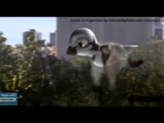 Eutpnicko - Live cam porn with this Men sexually attracted to the same sex 