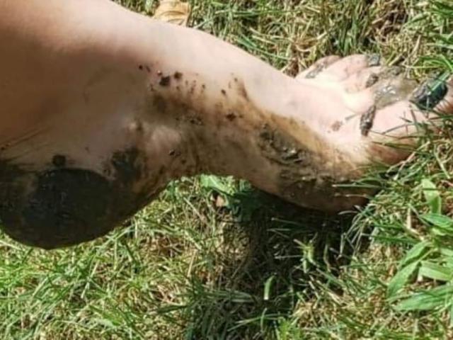 LaDominatrice's schmutziger Fuß mit Schlamm und kleinen Insekten, wobei die Sohle und Ferse zu sehen sind, liegt auf dem Gras. Ihr Knöchel ist leicht gebeugt, und ihre Zehen sind leicht nach vorne gerichtet..