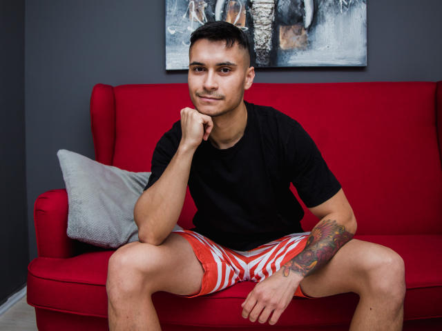 MattMalone, con cabello corto y negro, camiseta negra, pantalones cortos a rayas rojas y blancas, tatuaje en el brazo derecho, sentado en un sofá rojo, con un cojín gris, pared gris, con un cuadro detrás..