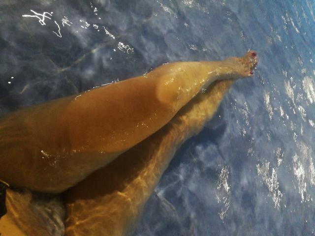 Angelonix - сексуальная веб-камера в реальном времени - 7610204