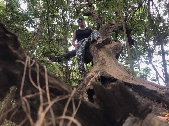 WildCoupleFetish, ein Mann mit einem schwarzen Tanktop und Camouflage-Hose, steht auf einem großen, knorrigen Baumstamm in einem Wald und blickt mit einem selbstbewussten Ausdruck nach unten..