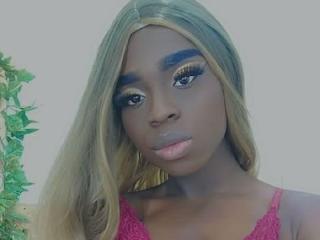 StormyWilliams - Sexe cam en vivo - 8458684