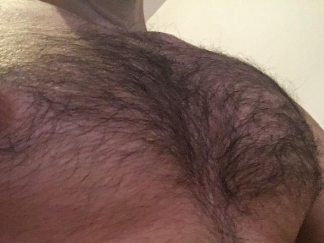 El pecho peludo de MasterDominator, que muestra un crecimiento denso, oscuro y marrón, con una textura visible y un ligero tono rosado en la piel..