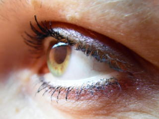 VikkiXX - Live porn &amp; sex cam - 9528080