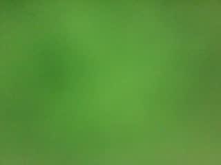 IrinaTestt