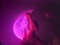 Ianniegz - Live sex cam - 26780616