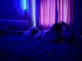 KatiMeow - сексуальная веб-камера в реальном времени - 17665334