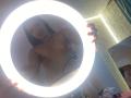 SheylaaEvanss - Live sex cam - 25082697