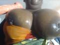 PreciousWoman - Live sex cam - 26514721