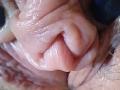 OrianaLaFrancaise's tight, pink, wrinkled, and slightly shiny pussy is prominently in focus, showing detailed skin textures and folds. It's a close-up, intimate shot.