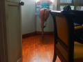 CoupleMature - Live sex cam - 27683366