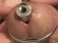 Waldrip - Live porn &amp; sex cam - 21462830