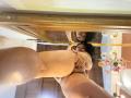 AlisGourmande - Live sex cam - 26556810