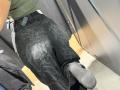 MargoFun's black, worn-out cargo pants with dirt stains, green shirt, gray socks, and belt with a black phone in a tight, metallic elevator.