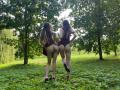 MillyAndKarry - Live Sex Cam - 17470482