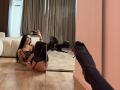 IliriaKara with long black hair, wearing leopard print lingerie, black thigh-highs, and high heels, lying on wooden floor, reflecting in mirror, showing her ass and black heels.
