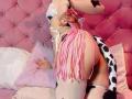 LaurenEvie69 - Live porn &amp; sex cam - 30627644