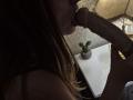 Seliina's mouth is wrapped around a large, veiny, erect cock. Her brown hair is visible, and she's wearing a dark bra. A small cactus is on a white table.