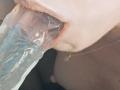 OrianaLaFrancaise's mouth is wrapped around a translucent, blue-tinted dildo, with her lips and tongue visible. The dildo is partially inside her mouth.