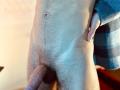 JakeMagnus - Live porn &amp; sex cam - 26455093