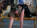 CandyLadyZ with curly gray hair, black mask, and leather outfit, bent over a gold-framed sofa, smiling at the camera, showing her tits and ass.