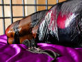 NenaBlack's glossy black latex butt is wrapped in plastic, lying on a shiny purple silk bed with black lace and a zipper in the foreground.