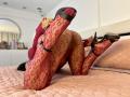 ZammySanz on a bed, knees up, wearing red lace tights and black high heels, showing her ass, with her back to the camera, in a sexy pose.