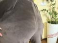 Stefanni - Live Sex Cam - 27814442