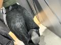 MargoFun's black, dirty, camouflage-patterned pants are bunched around her ass, with a black sock partially pulled down, showing a dirty heel. Her green shirt is visible.