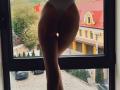 FavoriteHare - Live sex cam - 17386950