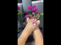 HannaHarper's feet crossed, showing a pink butt plug in her right toe and a pink gem in her left toe, with purple flowers in the background.