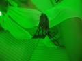 Strogoff - Live porn &amp; sex cam - 27084977