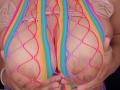NatieRush - Live porn &amp; sex cam - 26906105