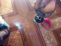 Caylin's dark brown pussy reflected in a mirror, with a pink vibrator to the right and a blue furry object to the left on a wooden floor.