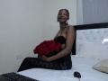 PetraHaven - Live sex cam - 29943734